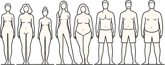 Illustration verschiedener Körpertypen